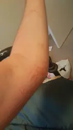 1464143579754.webp