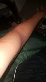 1464143488944.webp