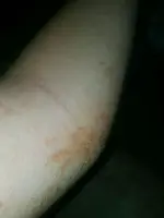 1464143549985.webp