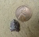 small arrowhead.webp
