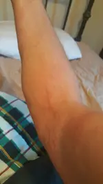 1464143651614.webp
