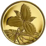 2003-1-2233-oz-gold-canadian-ontario-white-trillium-cad-350-bullion-coin-99999-24k-rev0.webp