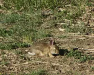 field 061916 1.webp
