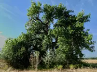 bike ride 062916 1a.webp