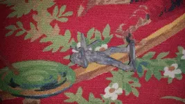 20160619_141319.webp