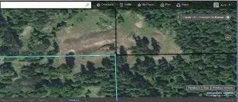 Dowsing.webp
