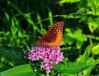 K1024_DSCN3249.webp
