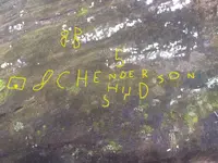 Spring Rock Full (Highlighted)2.webp