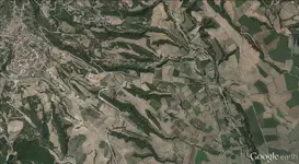 sar.webp