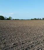 20160522_075700_resized-crop.webp