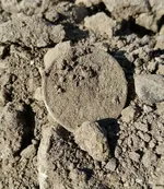 20160522_091312_resized-crop.webp
