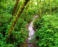 DSCN0414.webp