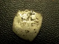 DSCN1107.webp