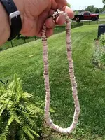 2016-05-31 14.23.38.webp