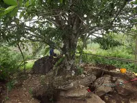 DSCF0980.webp
