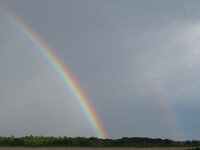 2.Afternoon Rainbow - right.JPG