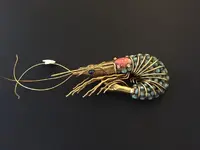 ImageUploadedByTreasureNet.com1467935323.366700.webp
