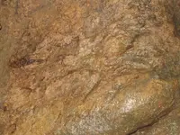 DSCF1157.webp