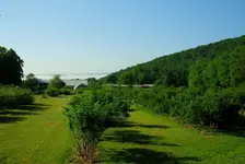 IMG_20160706_083849.webp
