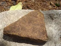 DSCF1149.webp