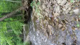 20160602_110259.webp