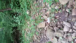 20160602_110302.webp