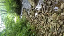 20160602_110308.webp
