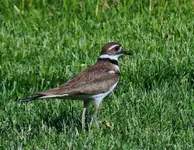 DSCN1938.webp