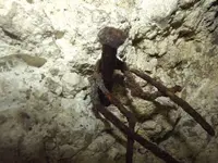 DSCF1287.webp