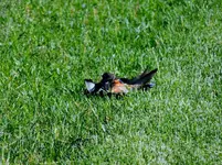 DSCN1947.webp