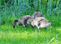 DSCN1925.webp