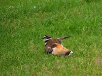 DSCN2114.webp