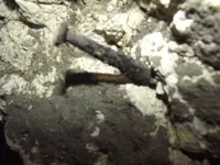 DSCF1288.webp