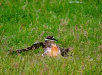 DSCN2118.webp