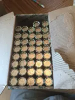 ImageUploadedByTreasureNet.com1469137267.280697.webp ImageUploadedByTreasureNet.com1469137267.280697.webp