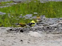 DSCN2131.webp