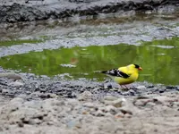 DSCN2128.webp