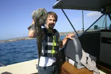 fb1.webp