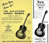 guitar sport model.webp