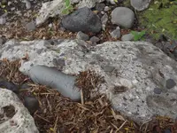 DSCF1292.webp