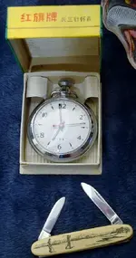 DSC05755 (539x1024).webp