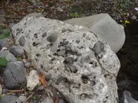DSCF1294.webp