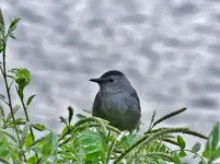 DSCN1522.webp