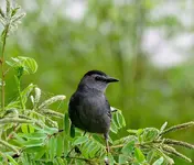 DSCN1515.webp