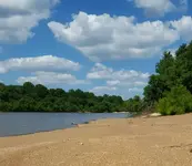 1466378249410.webp