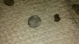 20160716_130611_resized.webp