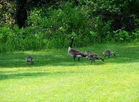 DSCN1537.webp