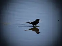 FSCN1561.webp FSCN1561.webp