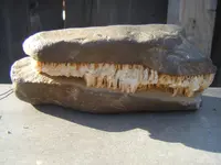 DSCF4398.webp