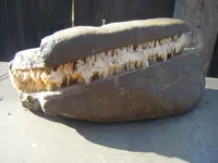 DSCF4399.webp